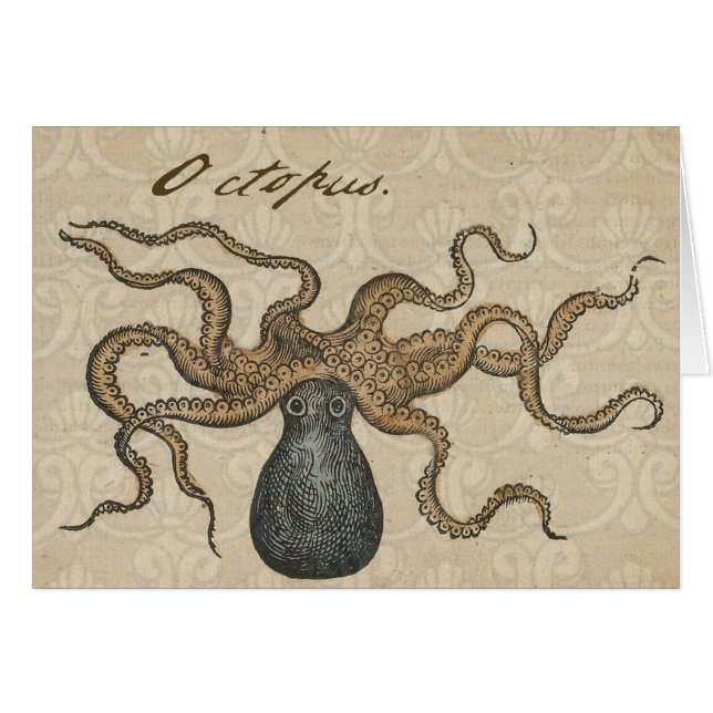 Illustratie Vintage Octopus Kraken (Voorkant Horizontaal)