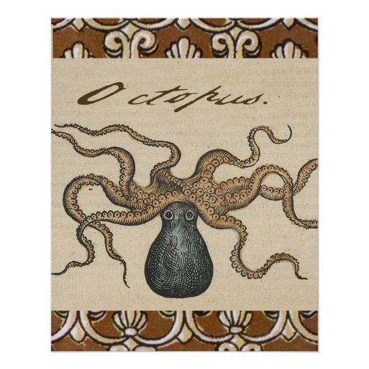 Illustratie Vintage Octopus Kraken Perfect Poster (Voorkant)