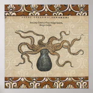 Illustratie Vintage Octopus Kraken Poster
