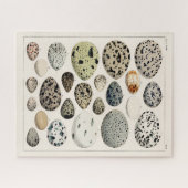 ILLUSTRATIE-VOGELEITEN LEGPUZZEL (Horizontaal)