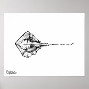Illustratie voor stralen poster