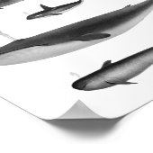 Illustratie walvis poster (Hoek)