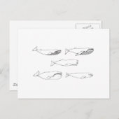 Illustratie walvissen (lijnkunst) briefkaart (Voorkant / Achterkant)