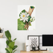  illustratie WaterLily Poster (Thuiskantoor)