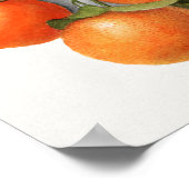 illustratie waterverf Sinaasappels Poster (Hoek)