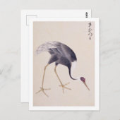  illustratie: White-naped kraan Briefkaart (Voorkant / Achterkant)