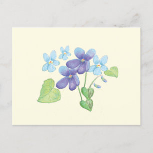 Illustratie Wild Violet Flowers Briefkaart