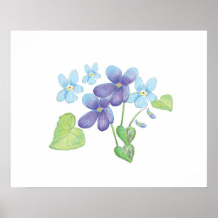 Illustratie Wild Violet Flowers Poster