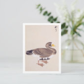  illustratie: Wilde gans Briefkaart (Staand voorkant)