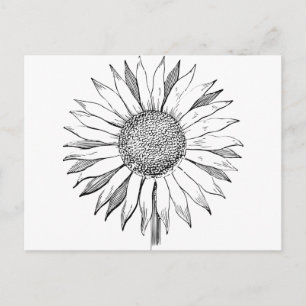 Illustratie zonnebloem briefkaart
