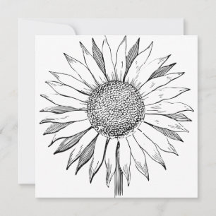 Illustratie zonnebloem kaart