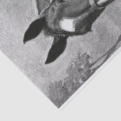 Illustratie zwart-wit Antiek  paard Tissuepapier (Detail)