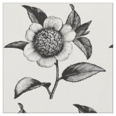 illustratie zwart-witventilator stof (Close Up)