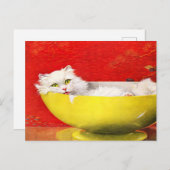  illustratiekat in gele kom briefkaart (Voorkant / Achterkant)