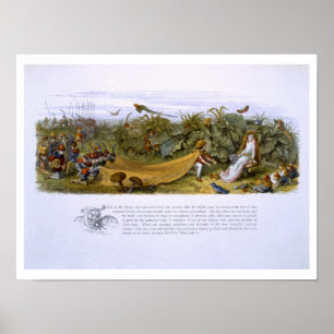 Illustraties uit 'In Fairyland: Een serie foto Poster