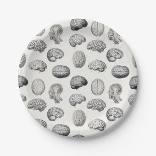 Illustraties van de anatomie van de hersenen en bi papieren bordje