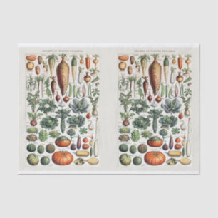 Illustraties van de groente, groenten van de tuin, tissuepapier