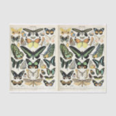 Illustraties van de helling, Butterflies, ontkoppe Tissuepapier (Voorkant)