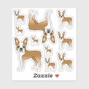 Illustraties van een lichtbruine en witte Boston T Sticker