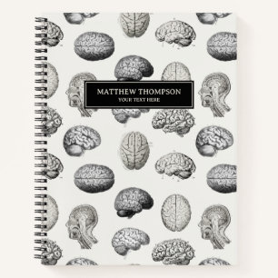 Illustraties van hersen anatomie biologie antiek notitieboek
