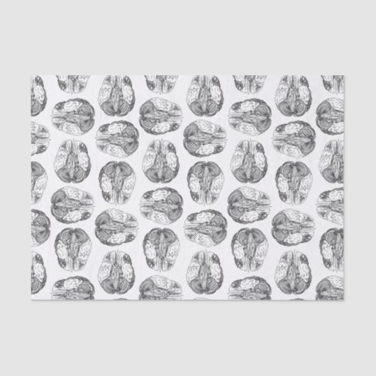 Illustraties van het Antiek breindiagram  Tissuepapier (Voorkant)