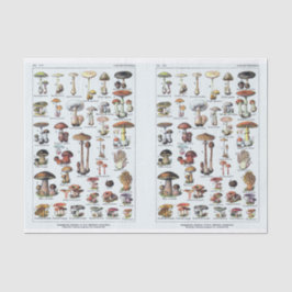 Illustraties van molen, paddenstoelen, ontkoppelin tissuepapier