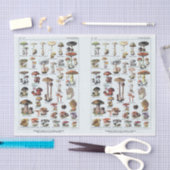 Illustraties van molen, paddenstoelen, ontkoppelin tissuepapier (Craft)