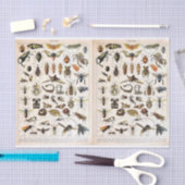 Illustraties van objecten - Insecten, ontkoppeling Tissuepapier (Craft)