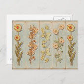  illustraties van Planten Briefkaart (Voorkant / Achterkant)