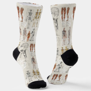 Illustraties van vintage anatomie en biologie sokken
