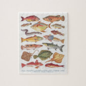  illustraties van zoutwatervis legpuzzel (Verticaal)