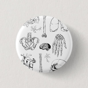 Illustratieset van menselijke anatomie in vintage  ronde button 3,2 cm