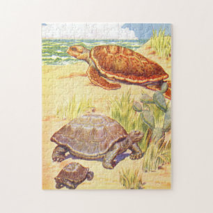 illustratiestrijdschildpadden uit het boek Kinder Legpuzzel