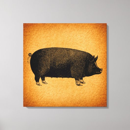 Illustratieve  pig Rustic Art Canvas Afdruk (Voorkant)