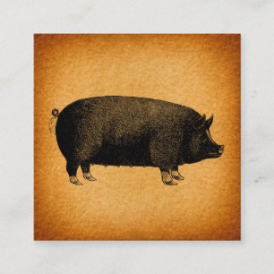 Illustratieve pig Rustic Art Informatiekaartje