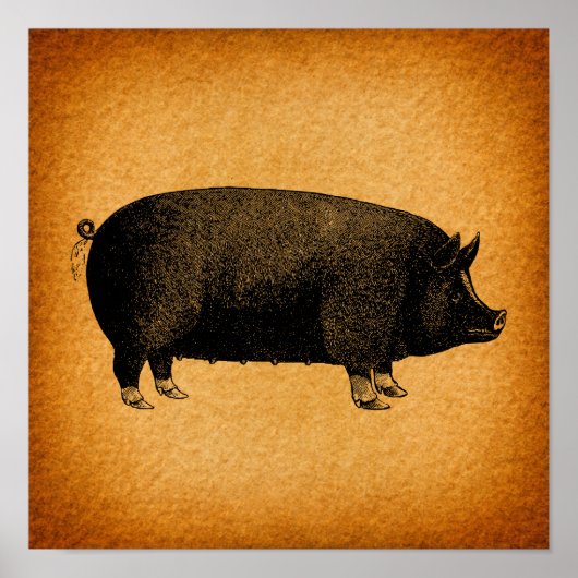 Illustratieve  pig Rustic Art Poster (Voorkant)
