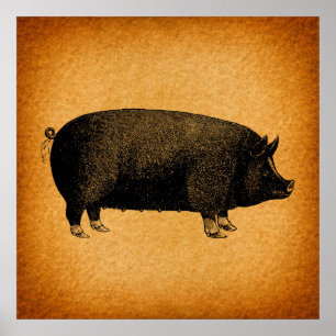 Illustratieve pig Rustic Art Poster