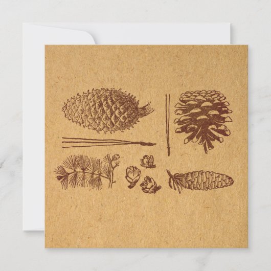 Illustratieve pijnbomen  Pinecone Art Notitiekaartje (Voorkant)