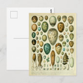 Illustratiewoordenlijst oeufs briefkaart (Voorkant / Achterkant)