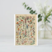 Illustratiewoordvoerders Briefkaart (Staand voorkant)