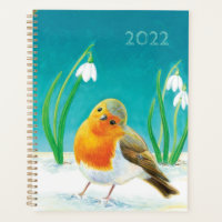 Illustration 20XX Red Robin