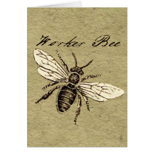 Illustration Antique d'Abeille Ouvrière Insecte Vi