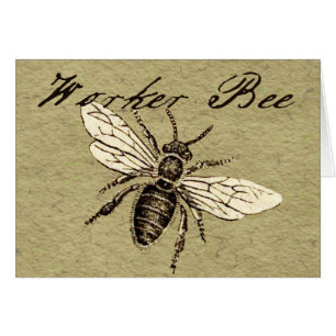 Illustration Antique d'Abeille Ouvrière Insecte Vi