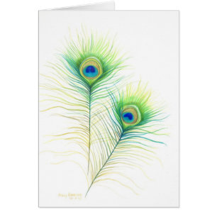 Illustration aquarelle de plumes de paon