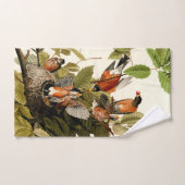 Illustration Audubon American Robin Wildlife Bird (Serviette à main)