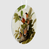 Illustration Audubon American Robin Wildlife Bird (devant)