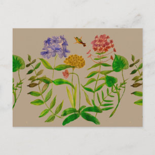 Illustration botanique sur carte postale