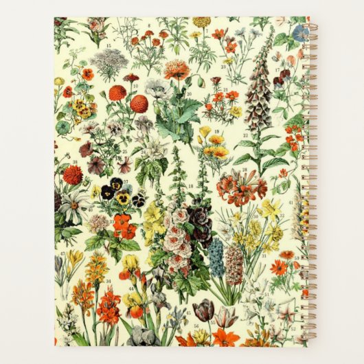 Illustration botanique vintage (Dos)