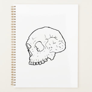 illustration crâne