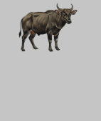 Illustration de buffle d'eau à l'aquarelle (Collier)